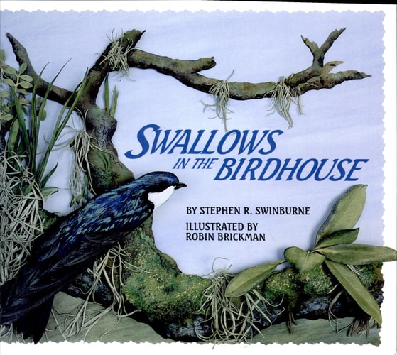 Swallows In The Birdhouse