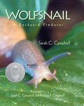 Wolfsnail