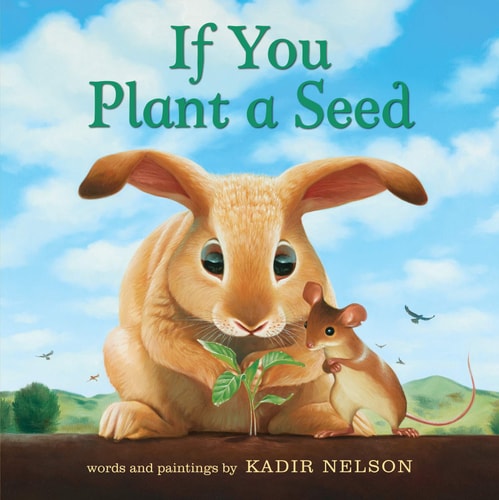If You Plant a Seed BD