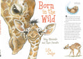 Born in the Wild