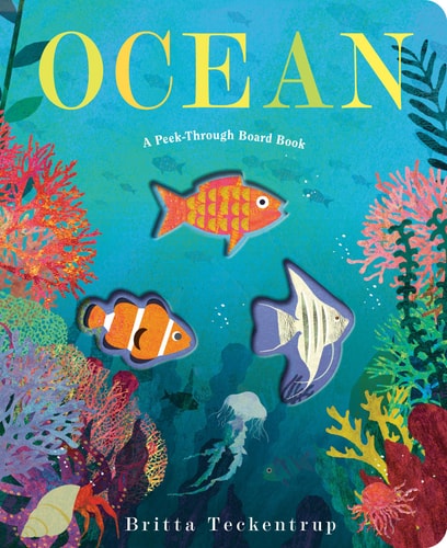 Ocean: A Peek Through Board Book