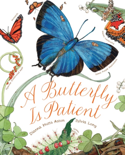 Butterfly is Patient-PB