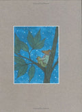 Steig Exhibition Catalog
