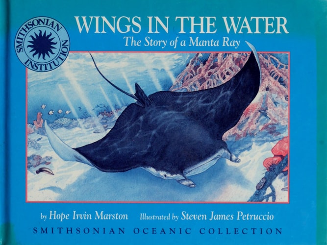 Wings In The Water