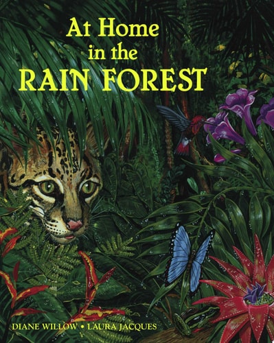 At Home In The Rainforest