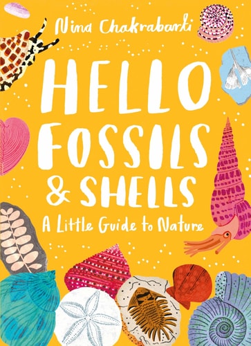 Hello Fossils & Shells