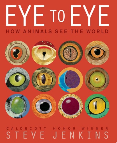 Eye to Eye: How Animals See the World