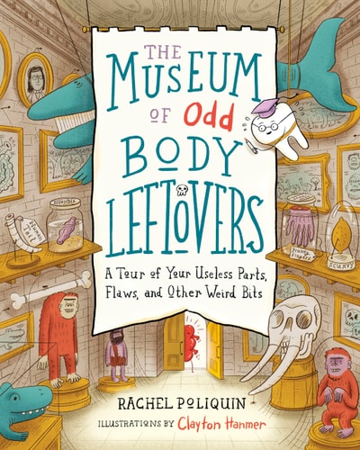 Museum of Odd Body Leftovers