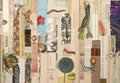 Right Word: Roget and His Thesaurus
