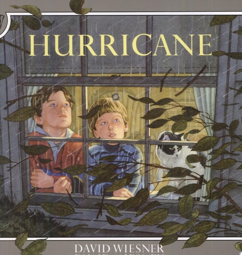 Hurricane (Softcover)