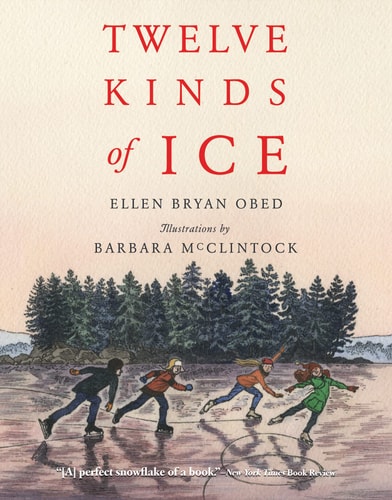 Twelve Kinds of Ice (Sale)