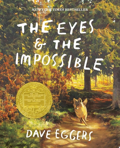 Eyes & the Impossible