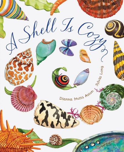 Shell is Cozy