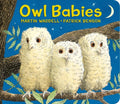 Owl Babies BD
