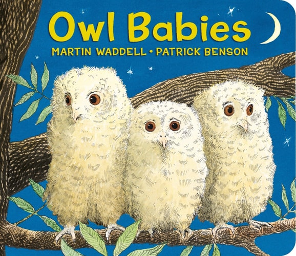 Owl Babies BD