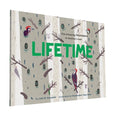 Lifetime-PB