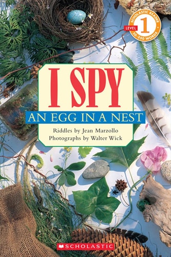 I Spy An Egg in a Nest