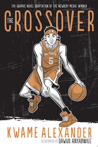 Crossover Graphic Novel