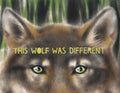 This Wolf was Different