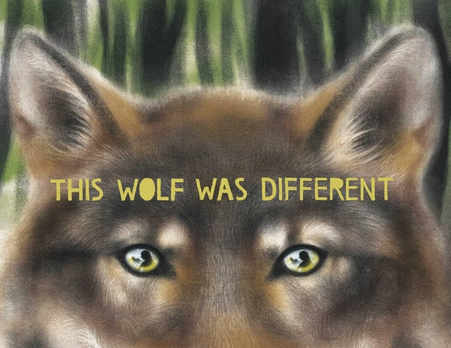 This Wolf was Different