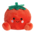 Tomato Palm Pal