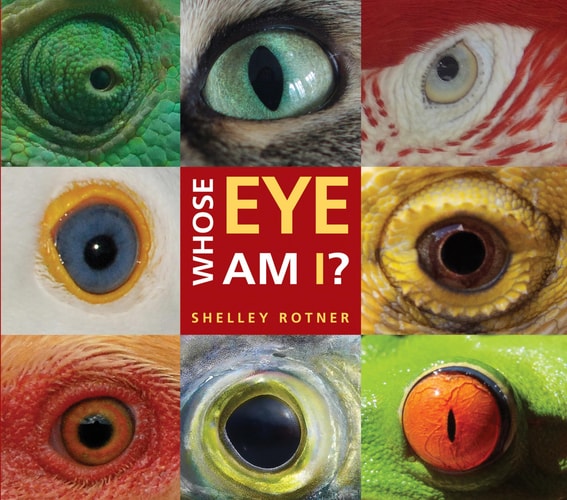 Whose Eye Am I