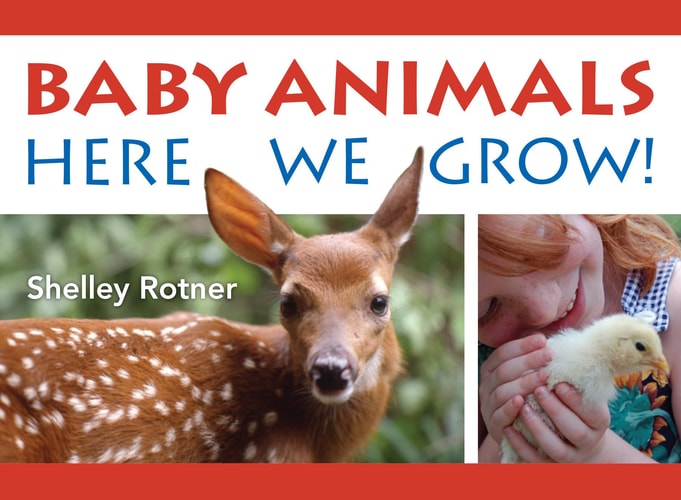 Baby Animals: Here We Grow BD