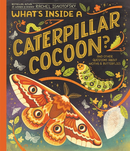 What's Inside a Caterpillar Cocoon