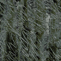 Fabric-Black Brushstroke
