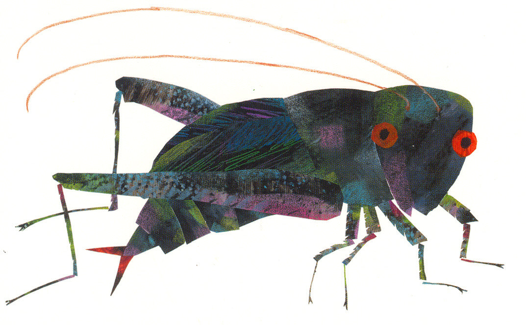 Postcard-Cricket
