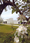Postcard-Museum Apple Blossoms