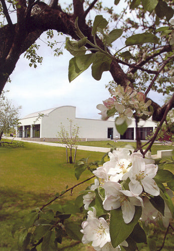 Postcard-Museum Apple Blossoms