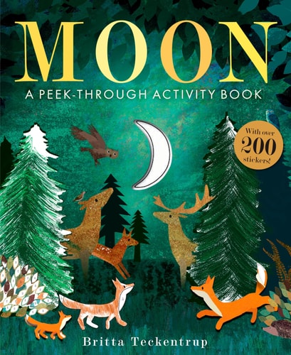 Moon Activity Book with Stickers