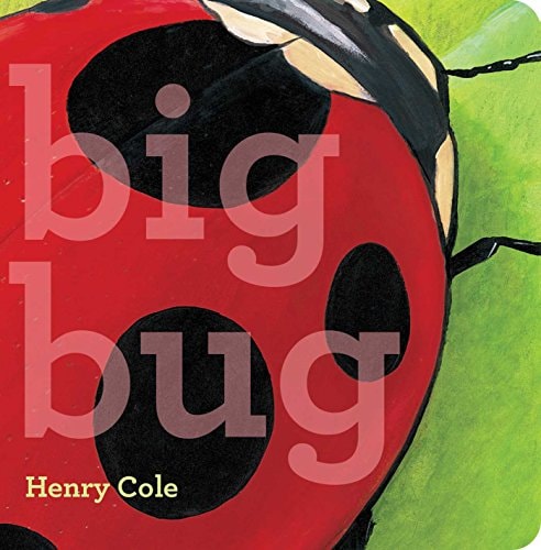 Big Bug BD