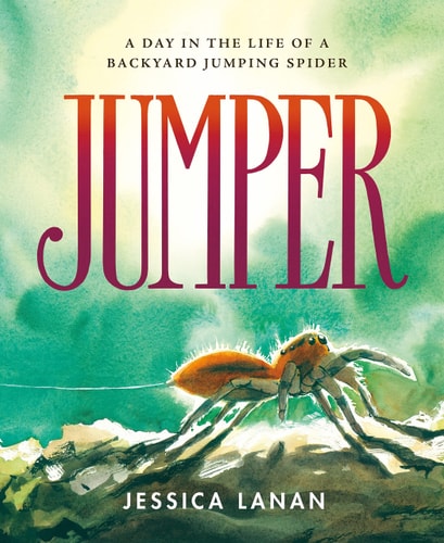 Jumper: A  Day in the Life of a Backyard Jumping Spider