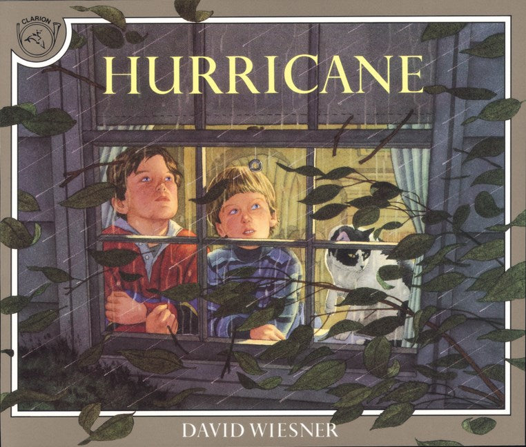 Hurricane (Softcover)