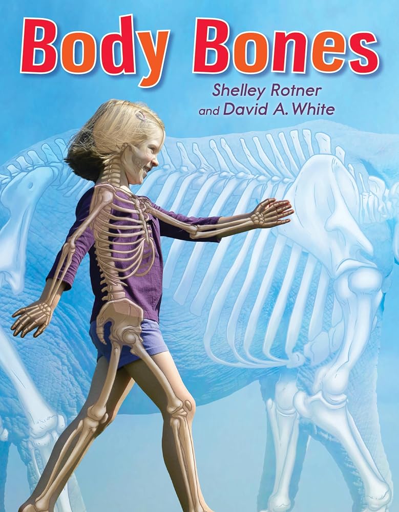 Body Bones cover image