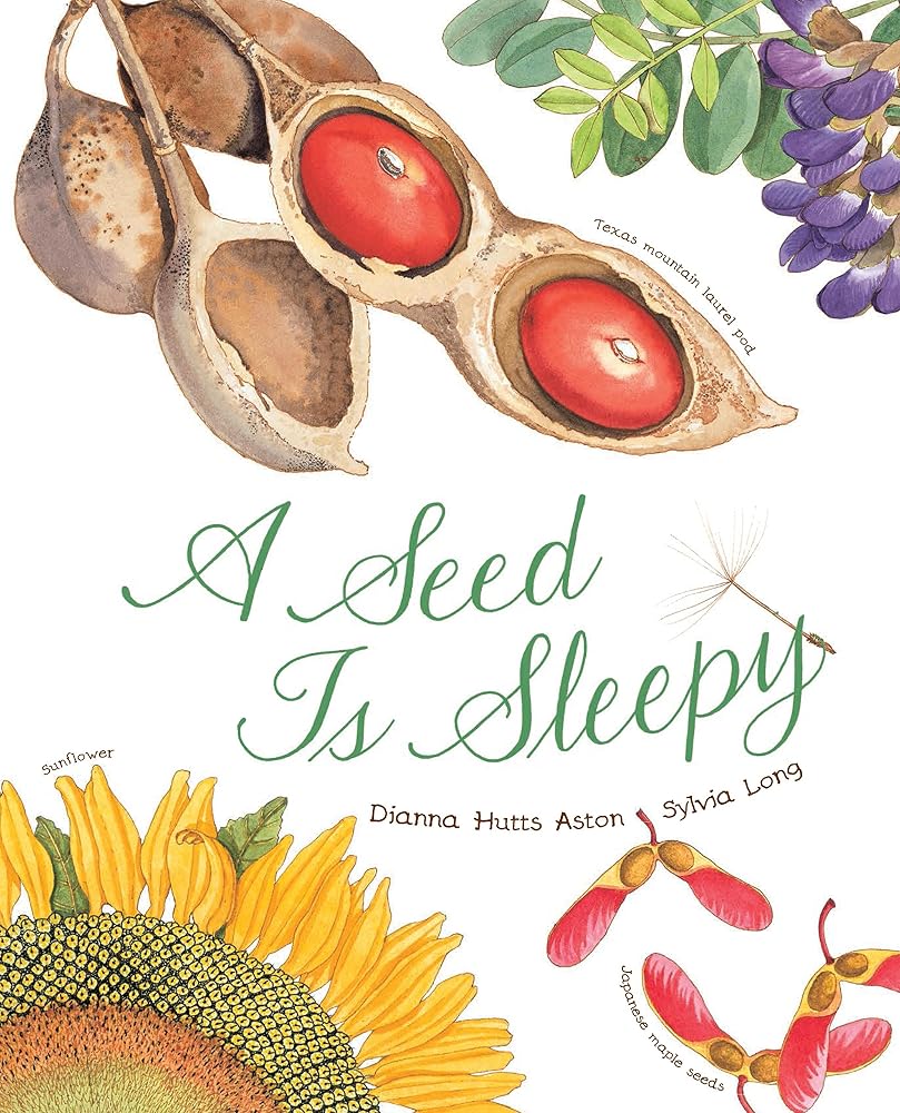 A Seed Is Sleepy: (Nature Books for Kids, Environmental Science for Kids) (Sylvia Long) cover image