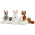 Baby Bunny Plush Asst 8"