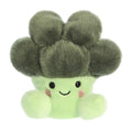 Broccoli Palm Pal