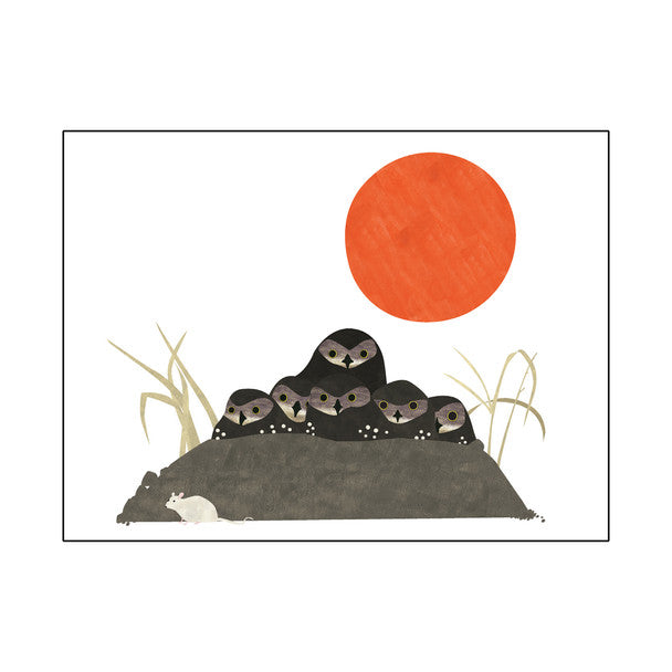 Card-Burrowing Owls