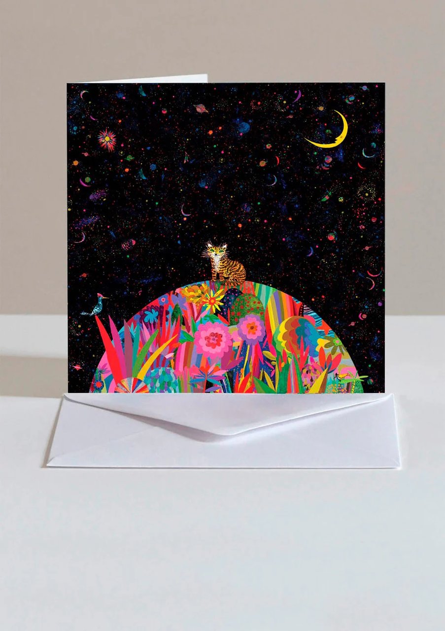 Card-Cat and Night Sky