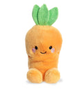 Carrot Palm Pal