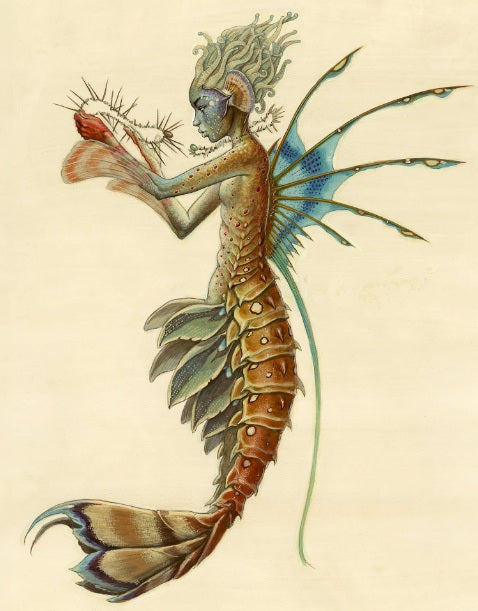Postcard-DiTerlizzi Mermaid