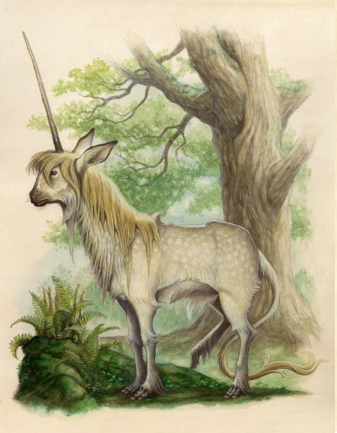 Print-DiTerlizzi Unicorn