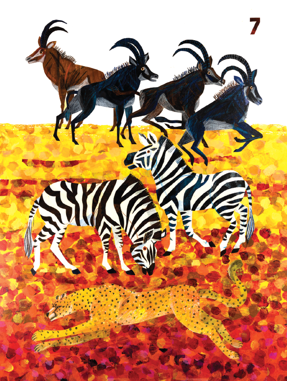 Card Set-Endangered Animals