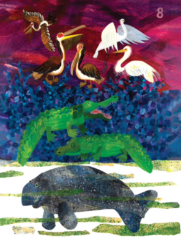 Card Set-Endangered Animals