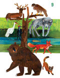 Card Set-Endangered Animals