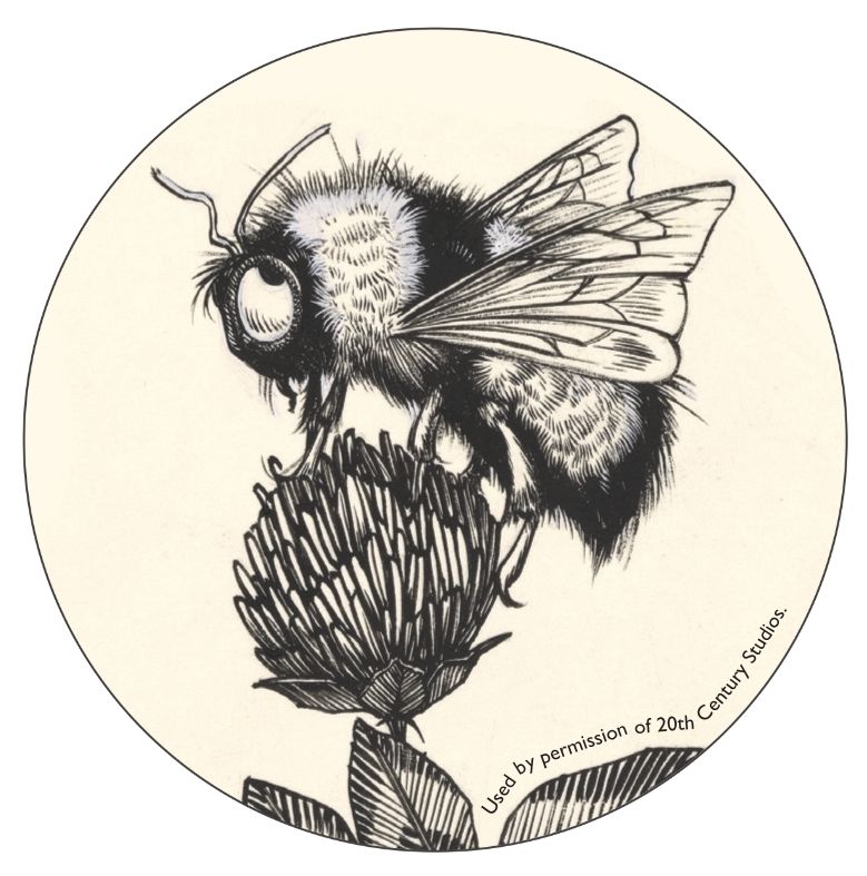 Ferdinand Bee Circle Sticker