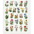 Print-Flower Fairies